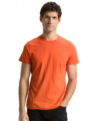 Tričko TOM TAILOR pánske 1048598/38891