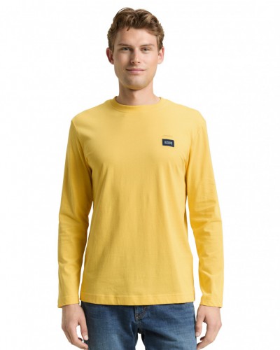 Tričko TOM TAILOR pánske 1048611/38889