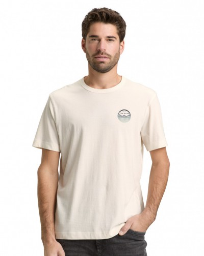 Tričko TOM TAILOR pánske 1050140/10348